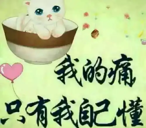 我允许你走进我的世界,但不许你在我的世界里走来走去,早上好
