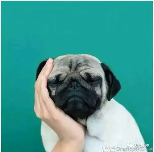 不到一百天还不开学老王教你缓解焦虑