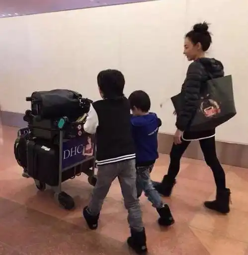 张柏芝为什么这么招骂这应该是最准确的答案了