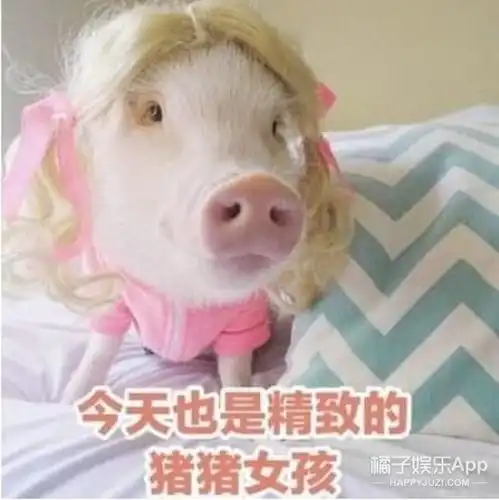 如何避免成为一个油腻的猪猪女孩