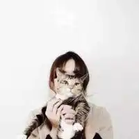 能不能给我几张带猫的情侣头像