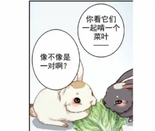 魔道祖师q版人物,蓝忘机和魏无羡化身小兔子,网友这也太可爱了吧