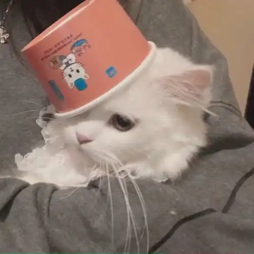 文案头像是努力的你,也是幸运的你