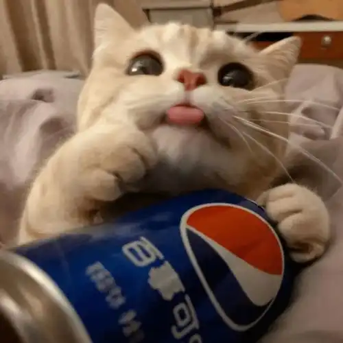 今日头像此生不悔,为你沉醉