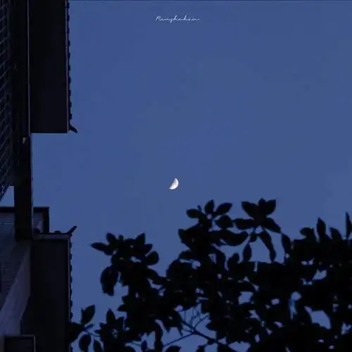 头像背景丨生能尽欢死亦无憾
