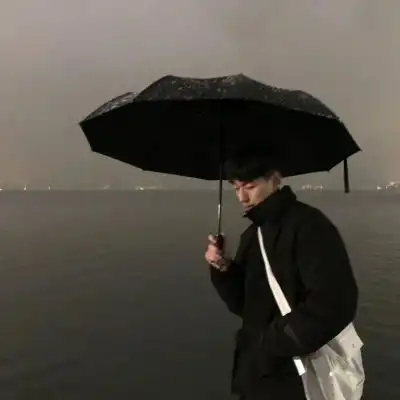 测试一个超长简介的文章