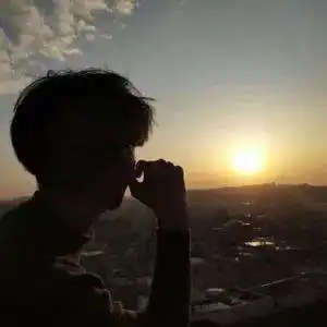 测试一个超长简介的文章