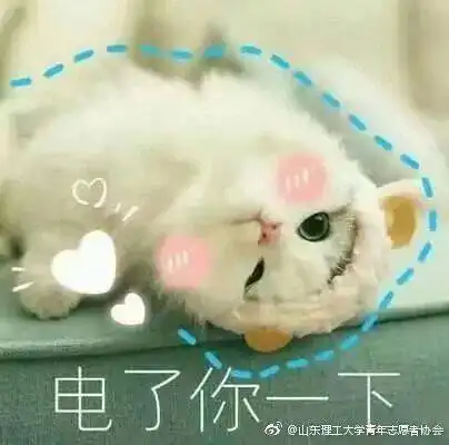 这些不为人知的女生宿舍日常,快来窥视一下
