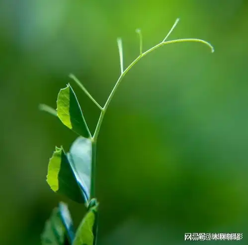 中年以后,一切顺其自然