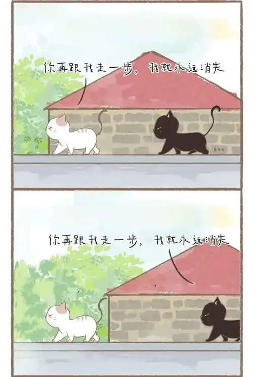 敲可爱漫画白猫与黑猫