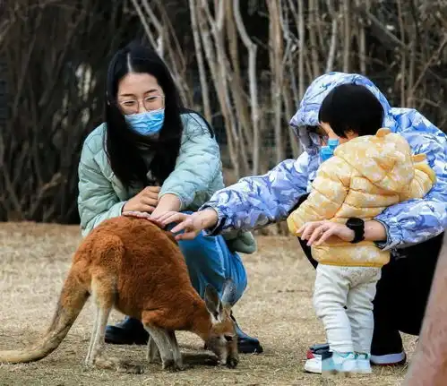 情人节来动物世界安全防疫必不可少