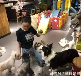 国民老公又有新女友王思聪这么多年的网红审美终于要结束了吗
