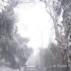 电话,地址,价格,营业时间南川区周边游