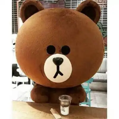 布朗熊头像高清图片布朗熊图片经典微信头像