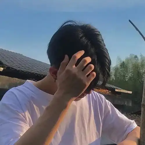 宝藏稀有男头