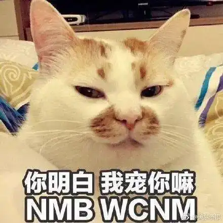 微信可以定制情侣头像了,快试试