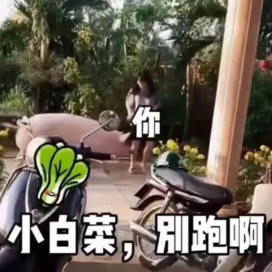 女子回老家被猪追赶,网友好白菜都被猪拱了