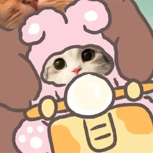 情侣头像丨超级可爱的猫咪情头