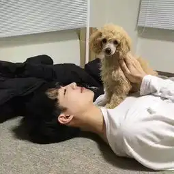 头像等你音讯全无我再去爱世间万物