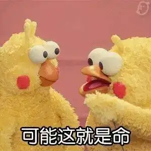 你见过哪些离谱的情侣分手事件