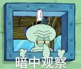 海底生物不一定都是沙雕原来章鱼的智商这么高,真不是什么外星生物吗