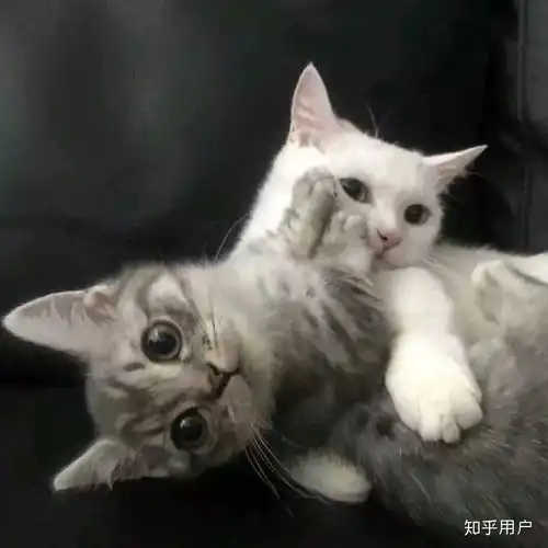 你们有遇到过女生互相寒暄到肉麻的时候吗