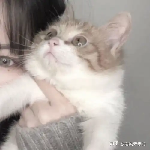 有看不出是情侣头像的情侣头像嘛