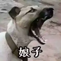 推荐史上最魔性情侣头像污的没眼看