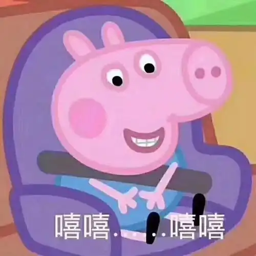 厉害了包了一架波音747飞机运二师兄