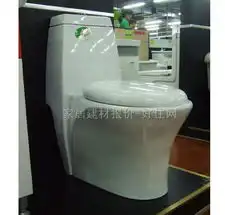 雅丹连体马桶坐厕_c284_300×400mm_价格报价_实拍图片_参数-好住网