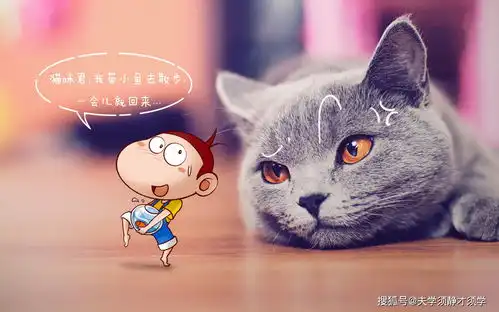 每日一笑一护士小姐姐值夜班,她发现有个病人不在病房,开始慌了起来