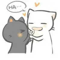 黑猫头像情侣动漫微信头像图片大全