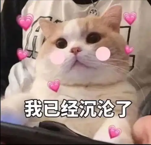 针织衫半裙风衣牛仔裤王炸,今年早春照着穿美到爆