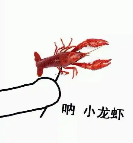 这是小龙虾最好的时代