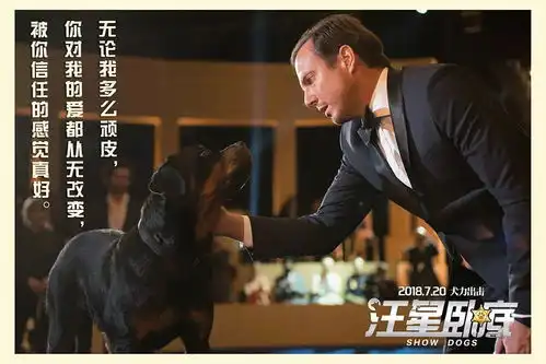 送票福利犬力出击汪星卧底萌犬大集结,带您皮这一夏