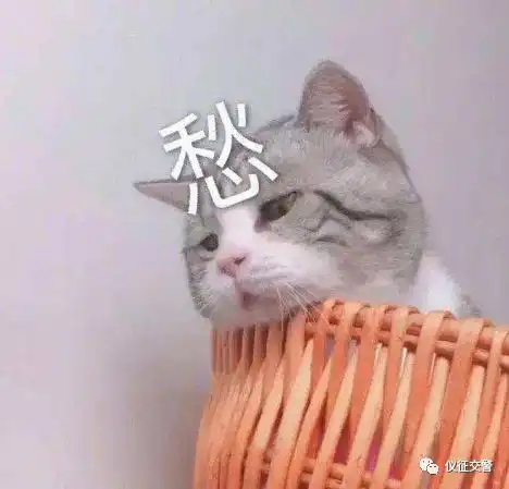 在仪征,一路绿灯不是梦真州路绿波带来了......