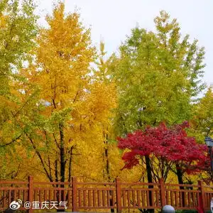 美炸了多彩盘溪河公园扮靓重庆初冬