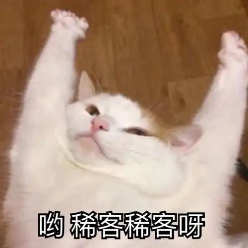 沙雕表情包l遇到困难先睡一觉