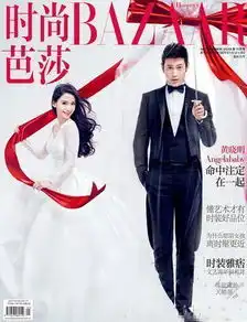 夫妻合体登杂志封面,刘诗诗夫妻颜最高