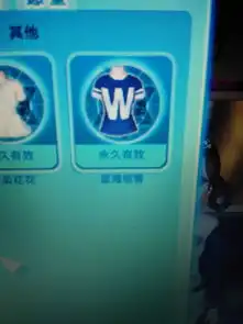 qq炫舞女生有个蓝紫色短袖上衣中间有个w字母叫什么名字