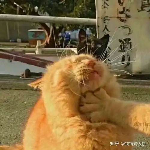 考研世界现代设计史可以只看疾风劲草的核心笔记书吗