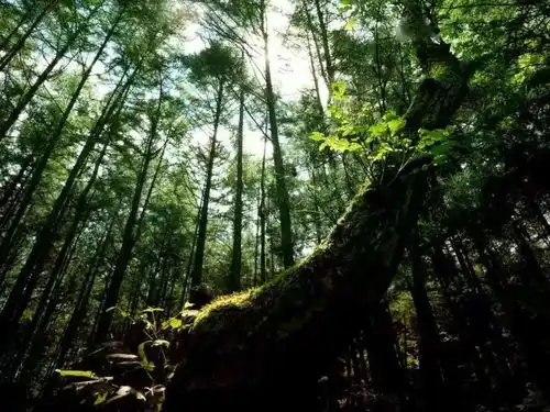 你以为的就是你以为年卡牛气卡把白云山2021全年风景打包带走