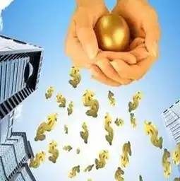 投管所金融服务p2p理财加盟图片加盟店装修图