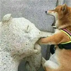 测试一个超长简介的文章