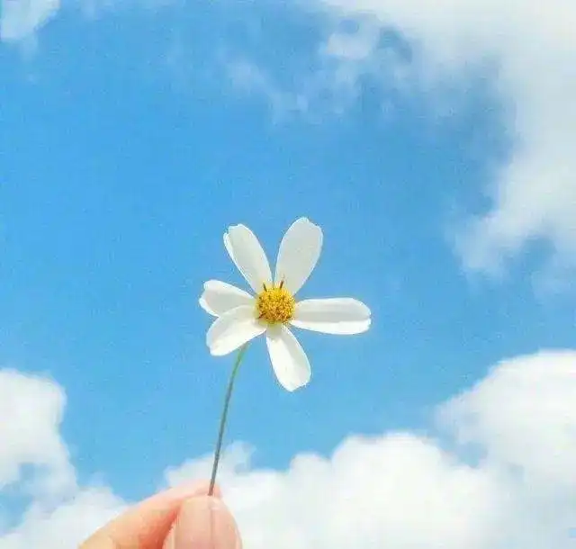间歇性努力,不是真正的努力
