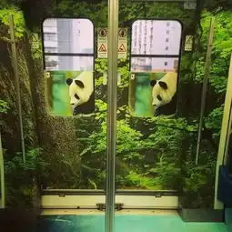 十一黄金周武汉地铁行车安排全在这儿了记得投票和留言哦