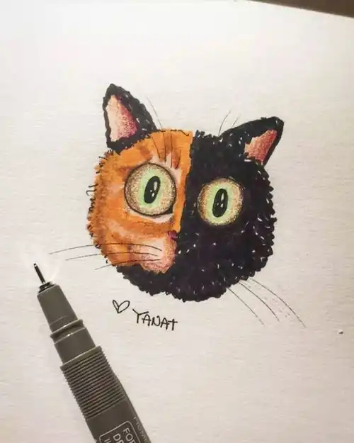 ins上有位妹子养了一只喵,从右边看是橘猫,从左边是黑猫像精灵一样