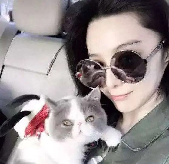 测试一个超长简介的文章