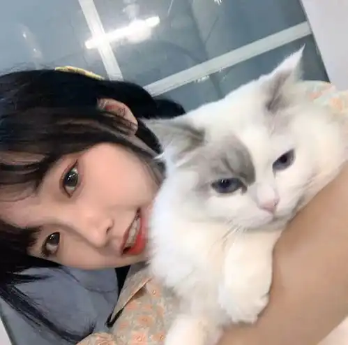 方图小姐姐集中营各种美丽小姐姐小姐姐头像