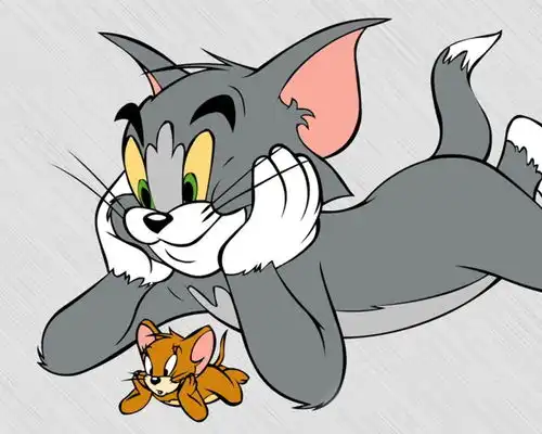猫和老鼠一只笨拙的猫咪与一只聪明的老鼠